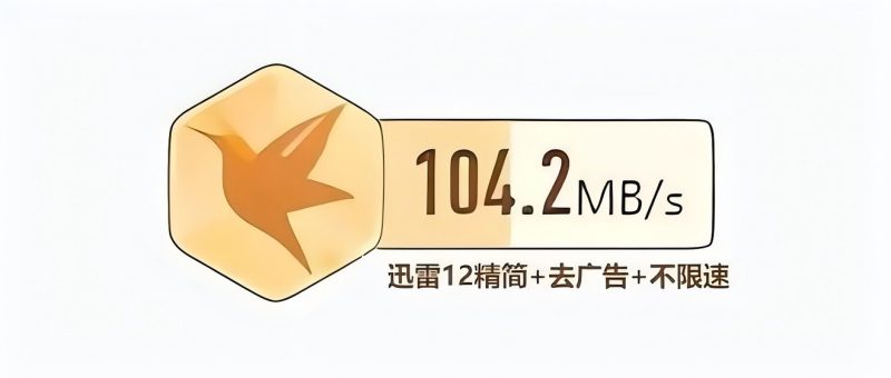 迅雷12杂交精简版-不限速无广告-100MB/S 畅爽下载！