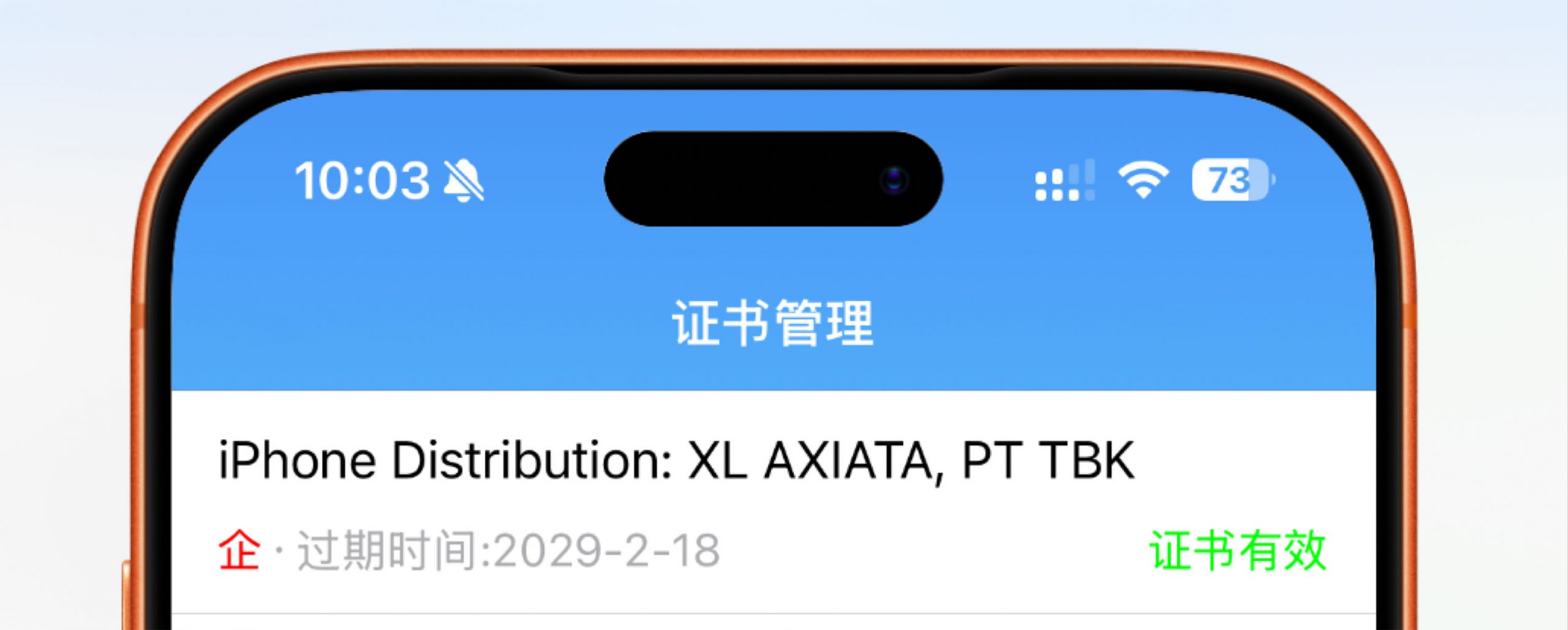 图片[2]-新鲜出炉！最新iOS免费企业证书，无需巨魔，自由安装所有APP！