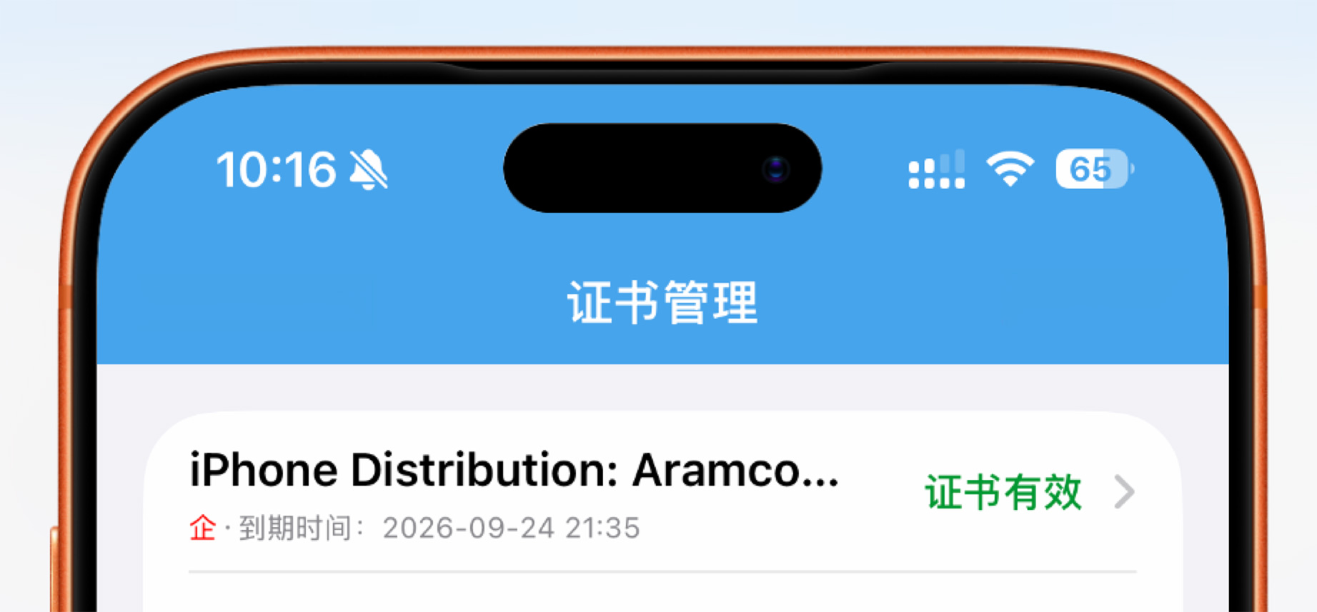 图片[2]-新鲜出炉！最新iOS免费企业证书，无需巨魔，自由安装所有APP！